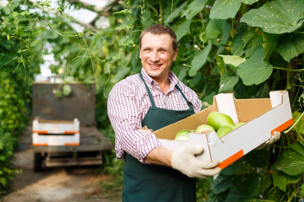 فروش عمده میوه تازه و صیفیجات مستقیم از باغدار در فروشیاب - تامین میوه از باغدار، فروش آنلاین میوه عمده، آگهی عمده فروشی