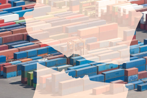 چند لایه سیلuettes: فرصت‌های رشد و آگهی عمده فروشی در نیازمندی‌های تجاری فروش‌یاب