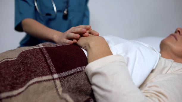 افزایش بیماران فیزیوتراپی در شیراز: استراتژی سئو محلی برای جذب حداکثری مراجعین - افزایش مراجعین درمانی در شیراز