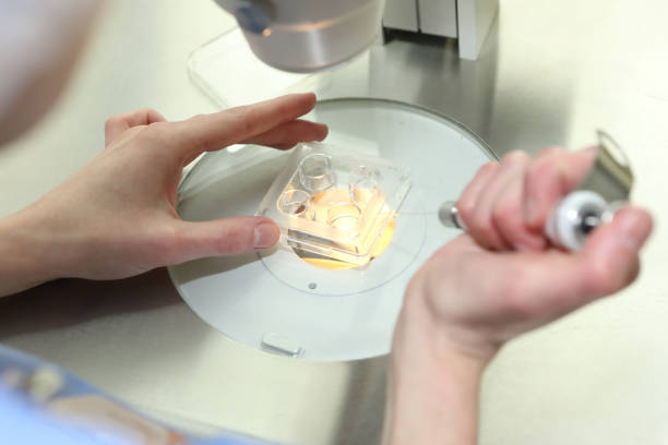 خدمات تخصصی مراکز ناباروری IVF مشهد پینوسایت ۲۰۲۶