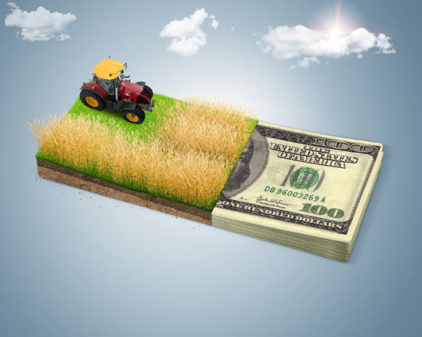 بازاریابی محصولات کشاورزی آنلاین: کشاورزی هوشمند و آگهی در فروش‌یاب - فروش‌یاب، خرید و فروش عمده، آگهی تجاری