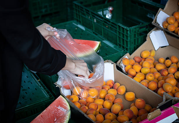 فروش یاب و خرید مستقیم میوه عمده | قیمت رقابتی صیفی‌جات | آگهی عمده فروشی