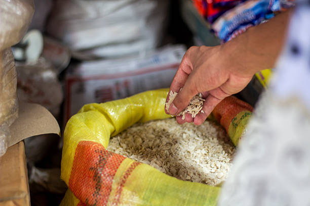 خرید و فروش عمده برنج هاشمی با قیمت رقابتی در فروش یاب، آگهی عمده فروشی محصولات کشاورزی