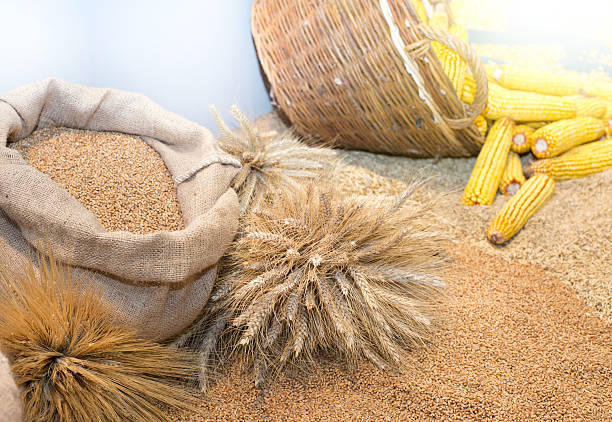 فروش مستقیم فرآورده‌های غذایی عمده: خرید و فروش عمده در فروش یاب