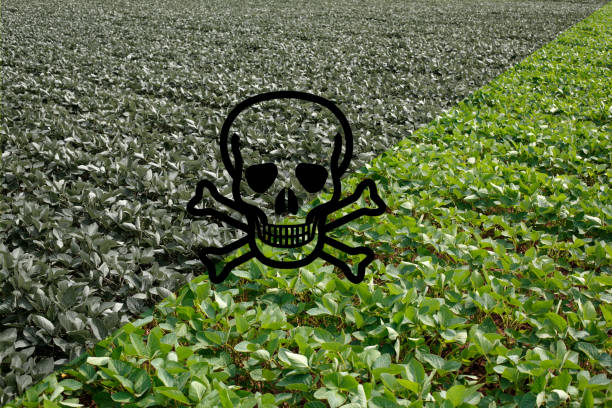 سم و کود کشاورزی عمده | قیمت رقابتی در فروش‌یاب - خرید و فروش عمده - فروش یاب