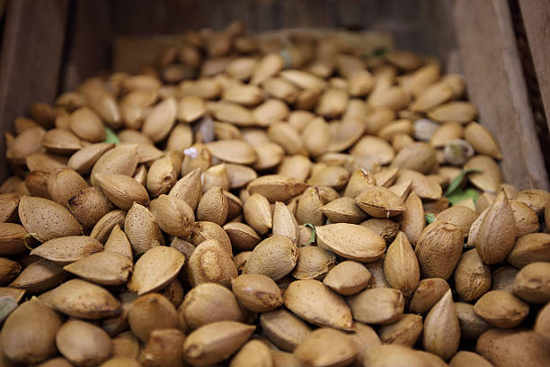 خرید عمده بادام، فروش مستقیم خشکبار | فروش‌یاب، خرید و فروش عمده، آگهی تجاری