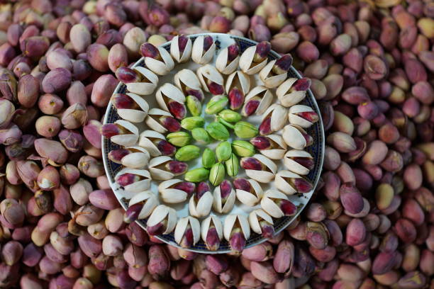 فروش عمده پسته اکبری اعلا رفسنجان | خرید مستقیم از فروشنده، قیمت پسته عمده، فروش یاب