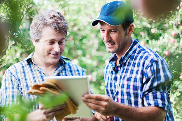 باغ سیب و برداشت محصول - فروش یاب، خرید و فروش عمده، آگهی تجاری