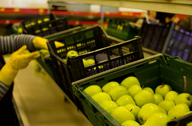 فرآورده‌های غذایی: عرضه و تقاضای عمده خشکبار، میوه و مواد پروتئینی در فروش‌یاب - خرید و فروش عمده فروش یاب