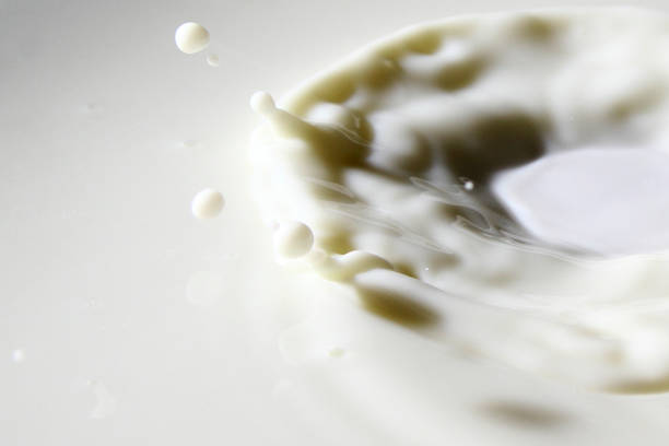 قطره شیر: فروش‌یاب، منبع آگهی عمده فروشی لبنیات با قیمت رقابتی