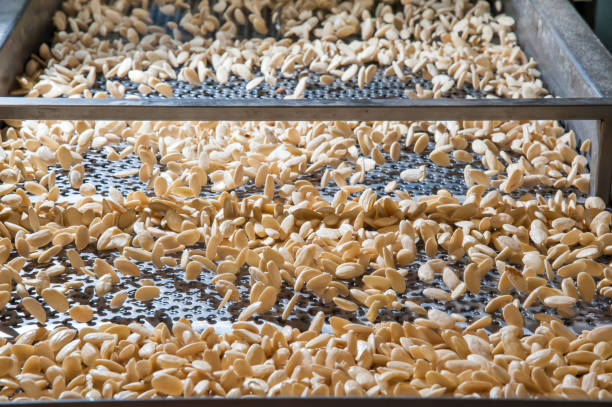 فروش عمده خشکبار بادام در فروش یاب | ثبت آگهی، قیمت رقابتی، نیازمندی‌های تجاری