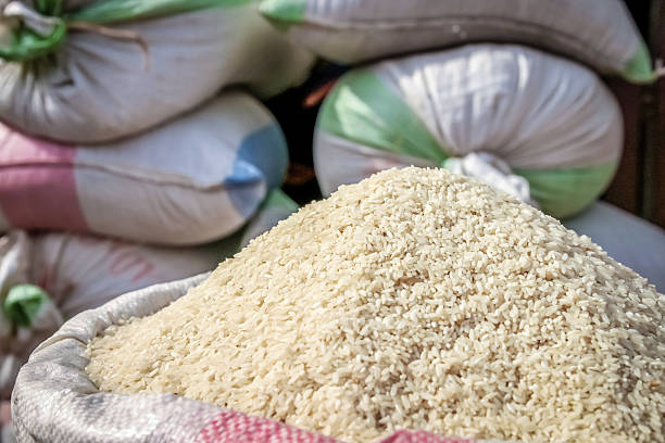 فروش عمده برنج هاشمی گیلان با کیفیت اعلا و قیمت رقابتی در فروش یاب، پلتفرم خرید و فروش عمده و آگهی تجاری