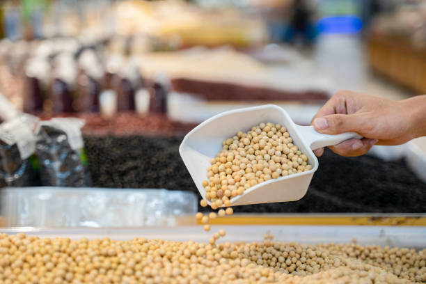 فروش عمده حبوبات و غلات، فروش نخود و عدس در فروش‌یاب، آگهی تجاری