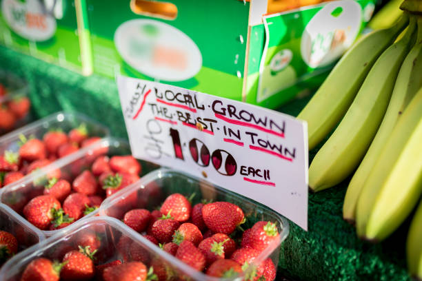 فروش میوه و صیفی‌جات تازه | آگهی تخصصی برای خریداران عمده در فروش‌یاب - اشاره به کیفیت و قیمت رقابتی محصولات کشاورزی در فروش یاب