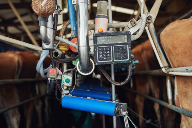 تجهیزات دامپروری و فرآورده‌های دامی | فروش یاب | خرید و فروش عمده | آگهی تجاری