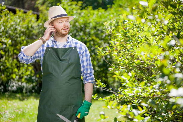 ارتباط مستقیم با باغداران برای فروش عمده میوه فصلی در فروش یاب، خرید و فروش عمده، آگهی تجاری