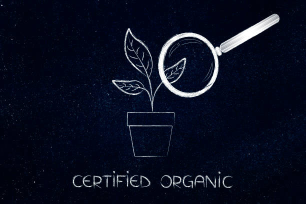 تضمین کیفیت بذر و نهال در فروش یاب | خرید و فروش عمده بذر و نهال