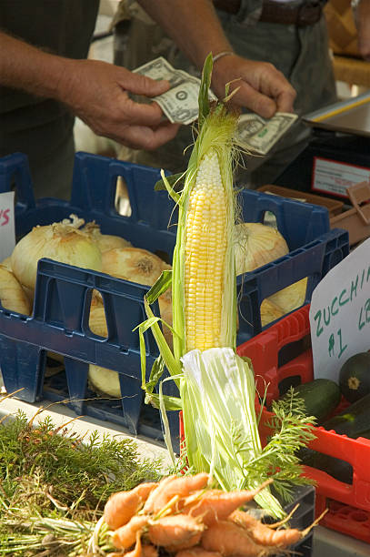 خرید و فروش عمده محصولات کشاورزی با قیمت رقابتی - فروش یاب، خرید و فروش عمده، آگهی تجاری