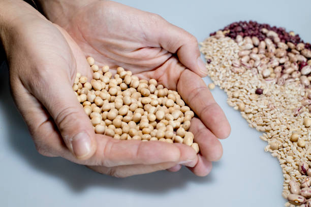 غلات و حبوبات: فروش عمده با بهترین کیفیت در فروش‌یاب - فروش یاب، خرید و فروش عمده، آگهی تجاری