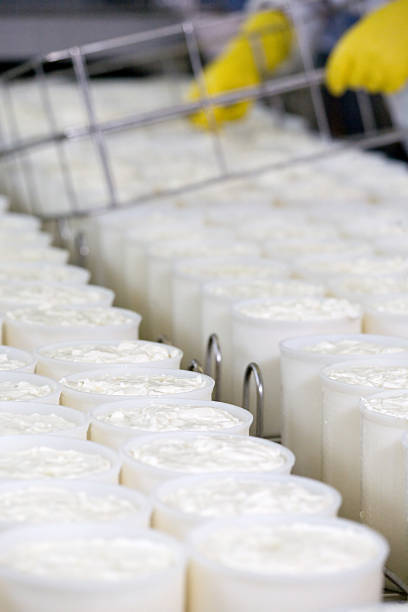 خرید و فروش عمده فرآورده‌های غذایی: تولید لبنیات عمده و فرآورده‌های پروتئینی عمده با کیفیت در فروش یاب