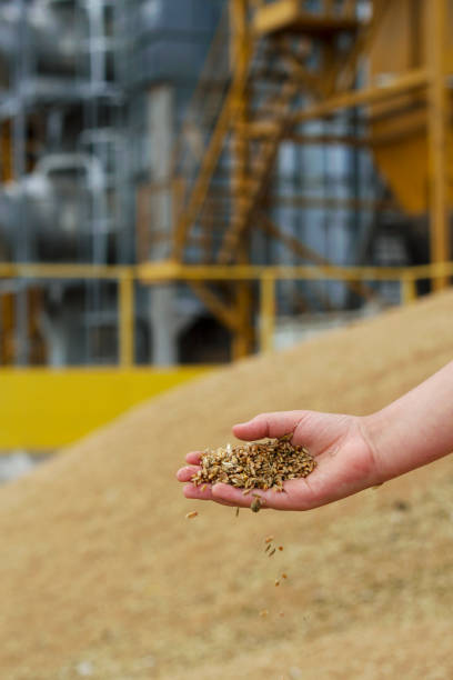 خرید و فروش عمده خشکبار، بازار عمده فروشان، قیمت رقابتی در فروش یاب