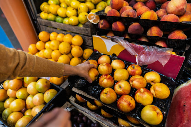 میوه و صیفیجات عمده: مستقیم از مزارع ایران در فروشیاب | خرید عمده میوه و صیفیجات تازه