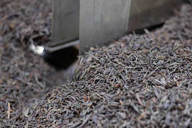 نمای نزدیک از مواد اولیه چای | فروش یاب، خرید و فروش عمده، آگهی تجاری