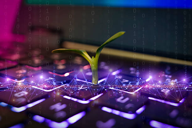 تولید محتوای هوشمند و AI-Safe برای افزایش نرخ تبدیل فروش قطعات یدکی لوازم خانگی در تبریز، با رویکرد پینوسایت 2026