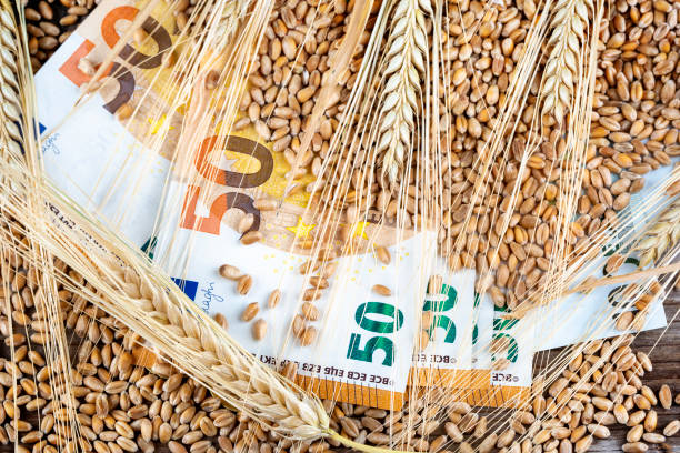 غلات ارزان، تامین کننده غلات، قیمت رقابتی در فروش یاب