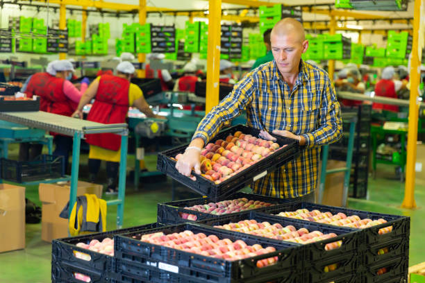 خرید و فروش عمده فرآوردههای غذایی | قیمت رقابتی | فروش یاب - تامین کنندگان مواد غذایی