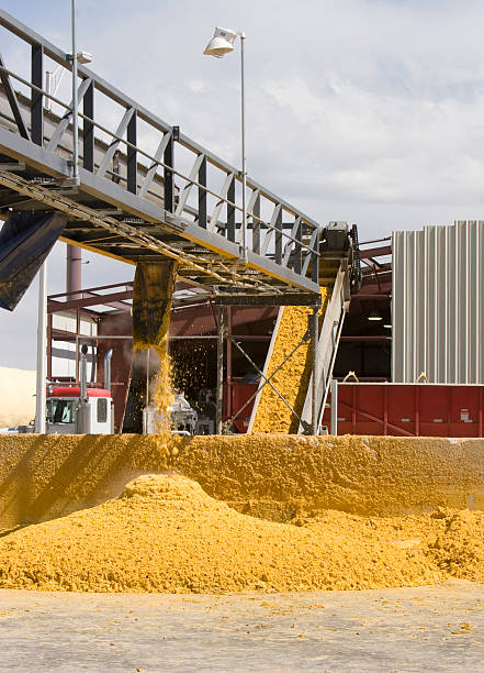 کنسانتره و کنسرو: معاملات عمده و آسان در فروشیاب | خرید و فروش عمده مواد غذایی و ثبت آگهی در فروش یاب