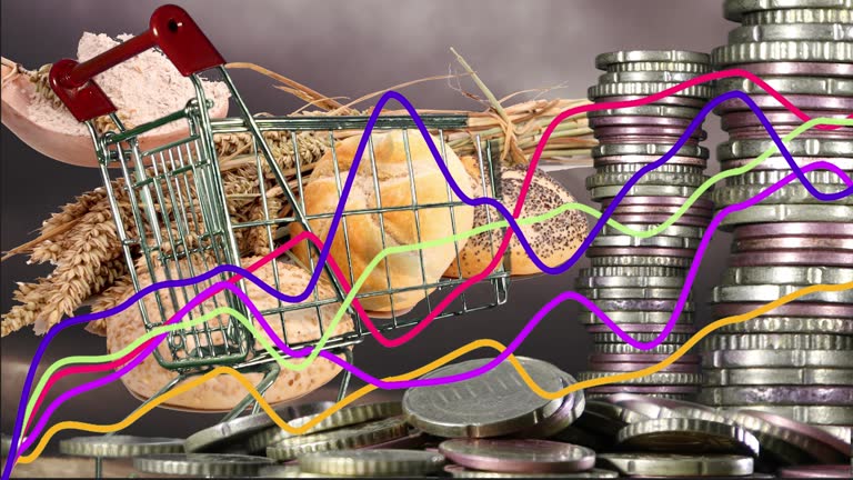 قیمت عمده مواد غذایی، قیمت ذرت در بازار عمده فروشان، فروش یاب