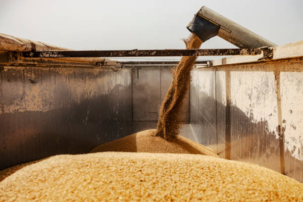 برداشت مکانیزه محصولات کشاورزی، فروش یاب، خرید و فروش عمده، آگهی تجاری