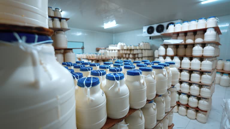 خرید عمده لبنیات در فروش‌یاب: قیمت رقابتی و دسترسی سریع به بازار عمده فروشان