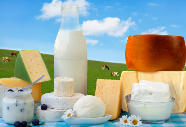 فروش‌یاب: خرید و فروش عمده لبنیات با آگهی تجاری و قیمت رقابتی