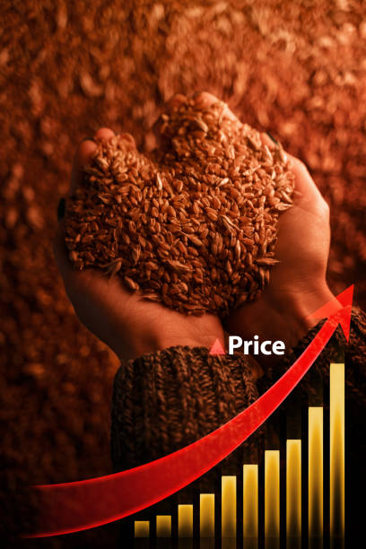 فروش مستقیم انواع خشکبار با قیمت رقابتی | ثبت آگهی رایگان در فروش‌یاب - ثبت آگهی - خرید عمده