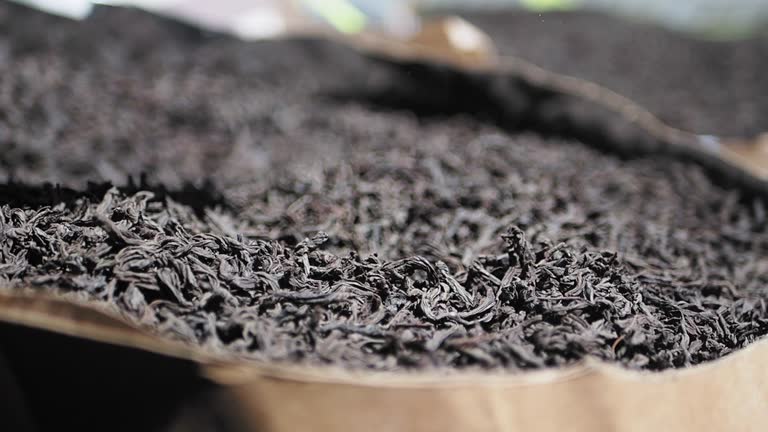 کشف بافت‌های غنی برگ‌های چای سیاه فله | فروش یاب، خرید و فروش عمده، آگهی تجاری