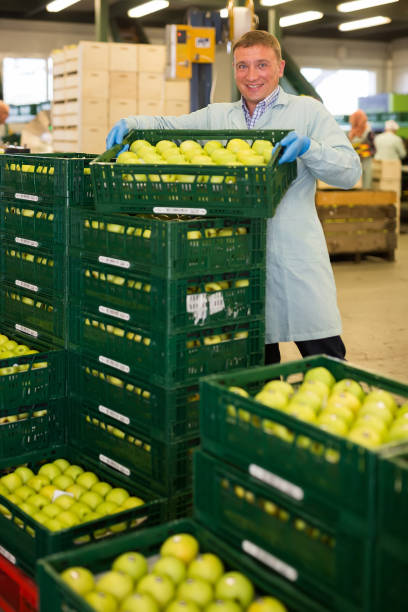 مردی که یک جعبه سیب را نشان می‌دهد - فروش یاب، خرید و فروش عمده، آگهی تجاری