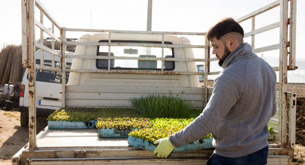 بذر و نهال عمده | فروش یاب، خرید نهال کشاورزی، آگهی عمده فروشی