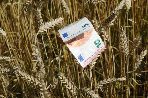 فروش مستقیم محصولات کشاورزی: افزایش سودآوری و قیمت رقابتی در بازار عمده فروشان فروش یاب