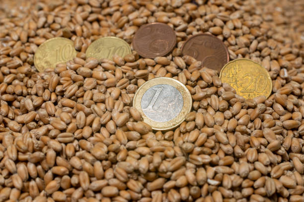 آگهی تخصصی غلات و حبوبات عمده با قیمت تولیدی در فروشیاب - قیمت تولیدی غلات و حبوبات