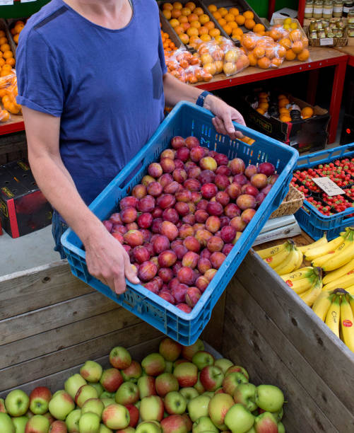 فروش عمده خشکبار، میوه و صیفی‌جات تازه در فروش‌یاب - تامین عمده میوه و سبزیجات و آگهی عمده فروشی