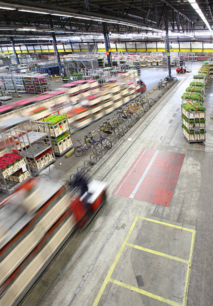 فروش یاب، تنوع آگهی ها، خرید و فروش عمده