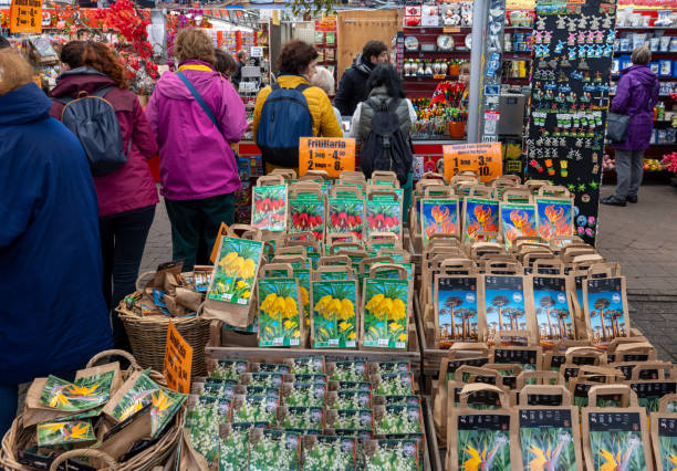 بذر و نهال، دامپروری: آگهی‌های کشاورزی عمده در فروش‌یاب - بازار عمده فروشان