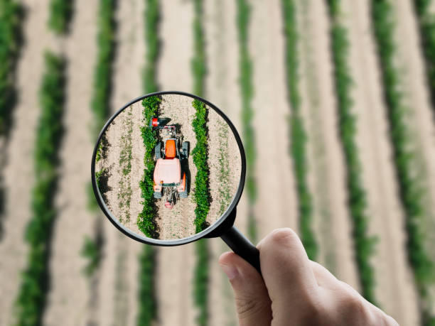 فروش‌یاب: بهترین بستر برای خرید و فروش عمده محصولات کشاورزی - خرید عمده محصولات کشاورزی فروش یاب