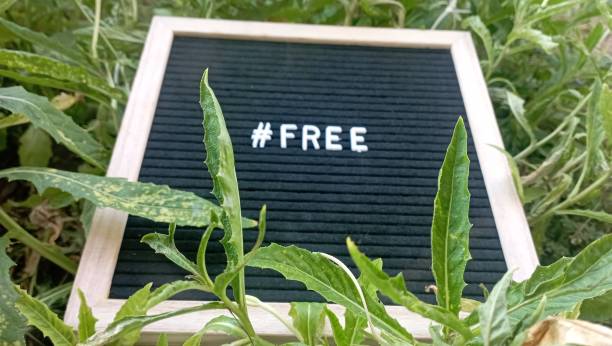 فروش یاب: ثبت آگهی رایگان کشاورزی، نیازمندیهای تجاری