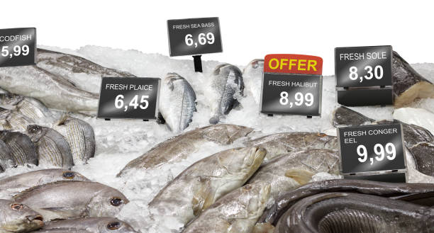 قیمت عمده ماهی تازه در فروشیاب | خرید و فروش عمده مواد پروتئینی