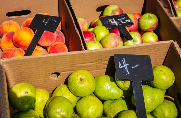 فروش یاب، خرید عمده میوه و صیفیجات، قیمت رقابتی - بازار عمدهفروشی فرآوردههای غذایی در فروشیاب