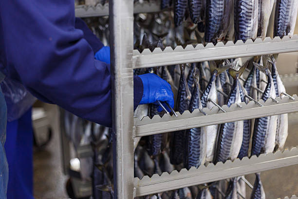 مواد پروتئینی: خرید عمده گوشت، مرغ، ماهی و سوسیس کالباس | فروش‌یاب - تامین کننده ماهی عمده