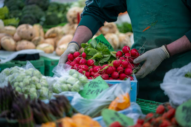 خرید و فروش عمده محصولات کشاورزی و بازار عمده فروشان فروشیاب